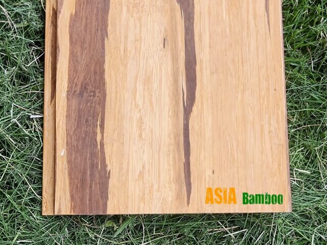 ارضيات فيدو-ASIA Bamboo.mp4