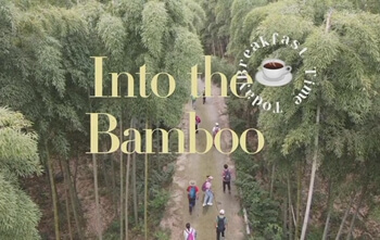 bamboo forest tour