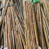 Bamboo Poles Bamboo Canes To Support Plants Grow