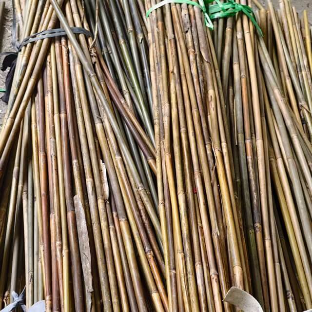 Bamboo Poles Bamboo Canes To Support Plants Grow