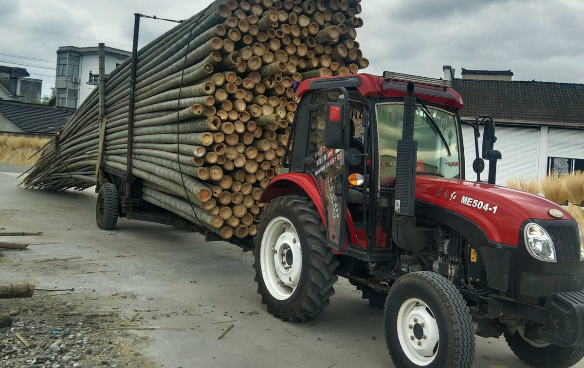 bamboo poles for panels