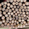 Tonkin Bamboo for Agricultural Use