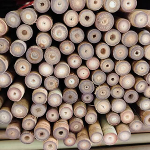 Tonkin Bamboo for Agricultural Use