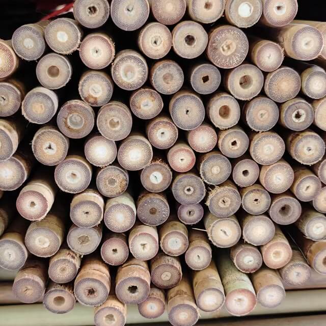 Tonkin Bamboo for Agricultural Use