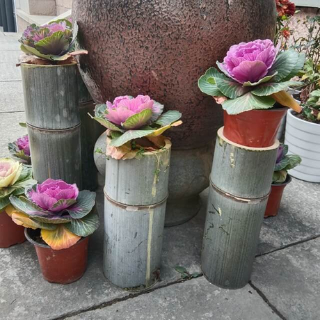 green bamboo planter.jpg
