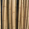 Treated Bamboo Poles Dried Yellow Natural Color
