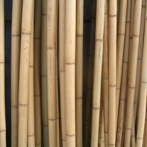 Bamboo Poles for Building and Constructions