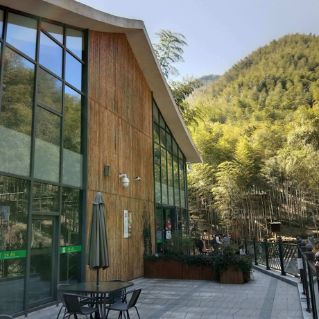 bamboo slats for exterior wall.jpg