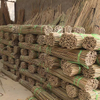 Bamboo Poles Bamboo Canes To Support Plants Grow