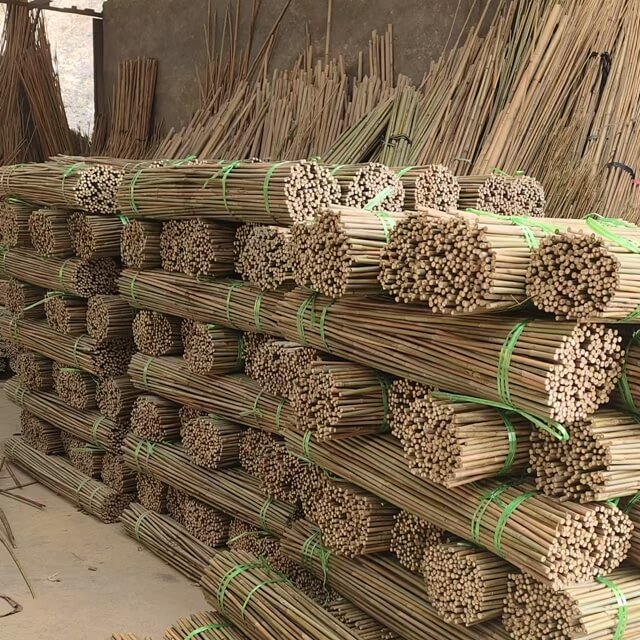 Bamboo Poles Bamboo Canes To Support Plants Grow
