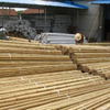 Bamboo Poles for Building and Constructions