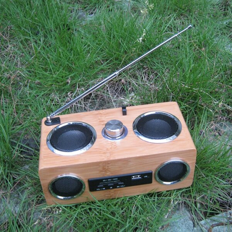 bamboo speaker.JPG
