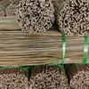 Bamboo Poles Bamboo Canes To Support Plants Grow
