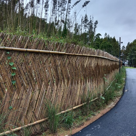 bambu fence.jpg