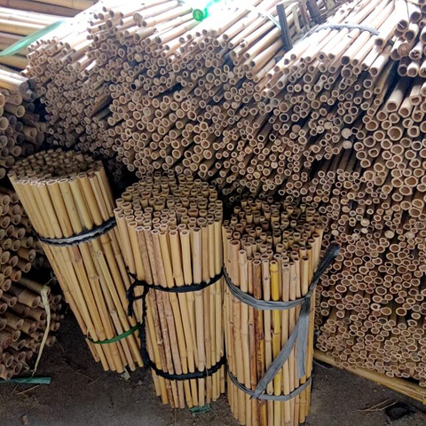 Agricultural Bamboo Poles To Support Plants Grow