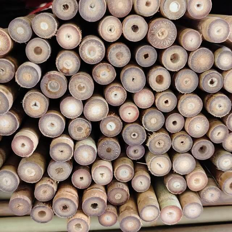 tonkin bamboo poles.jpg