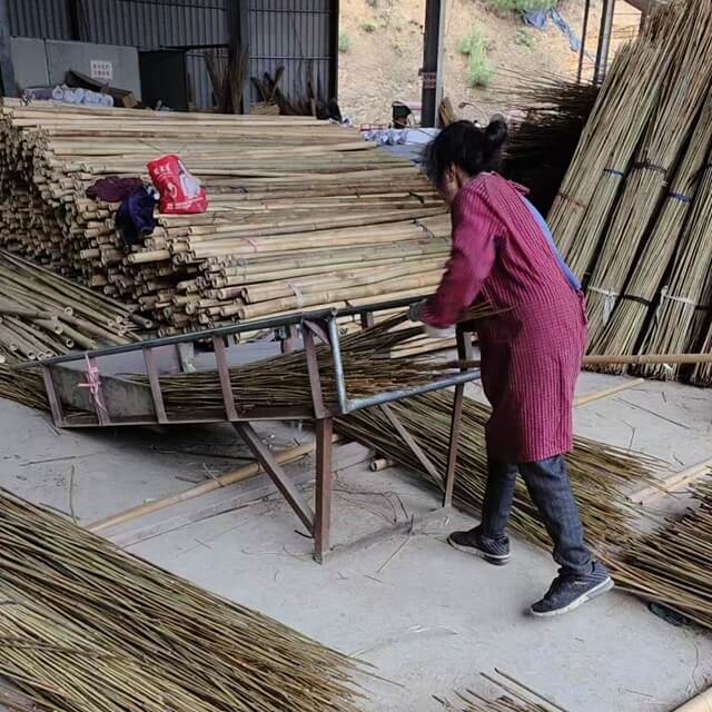 Bamboo Poles Bamboo Canes To Support Plants Grow
