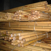Bamboo Poles Dried Yellow