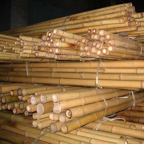 Bamboo Poles Dried Yellow