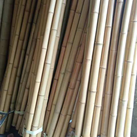 Natural Bamboo Poles for Decoration and Building