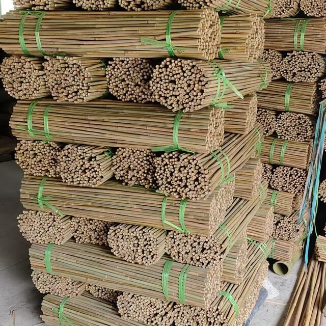 Bamboo Poles Bamboo Canes To Support Plants Grow