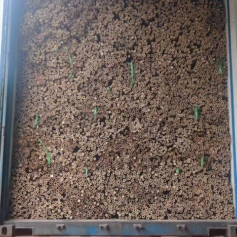 Bamboo Tonkin per uso agricolo