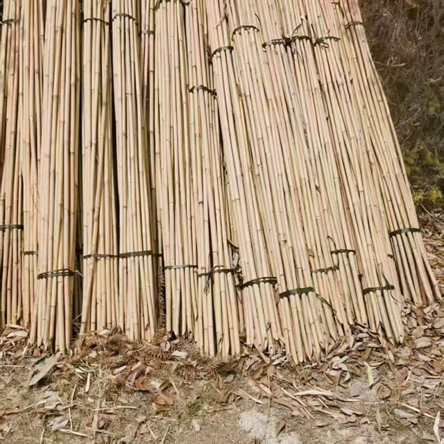 bamboo poles