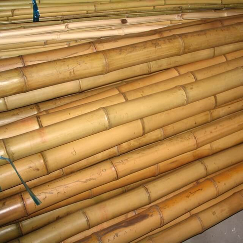 Bamboo Poles Dried Yellow