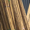Tonkin Bamboo for Agricultural Use