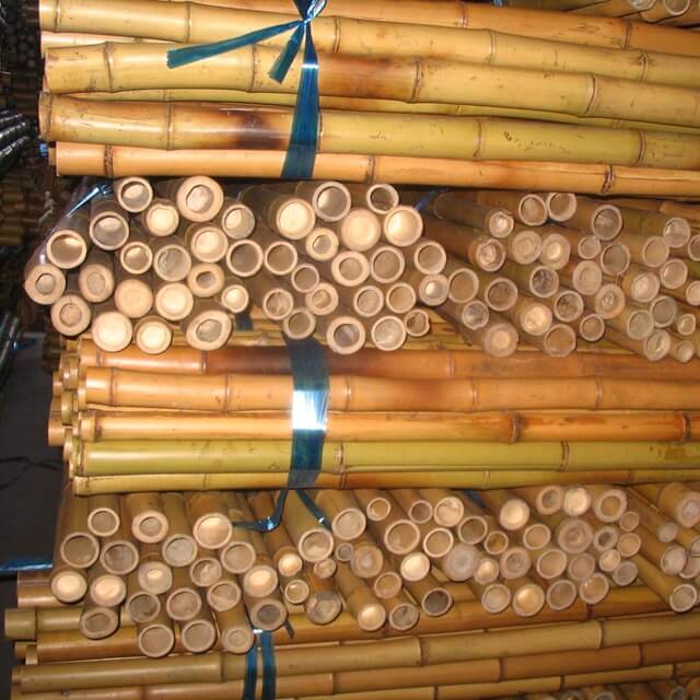 Bamboo Poles Dried Yellow