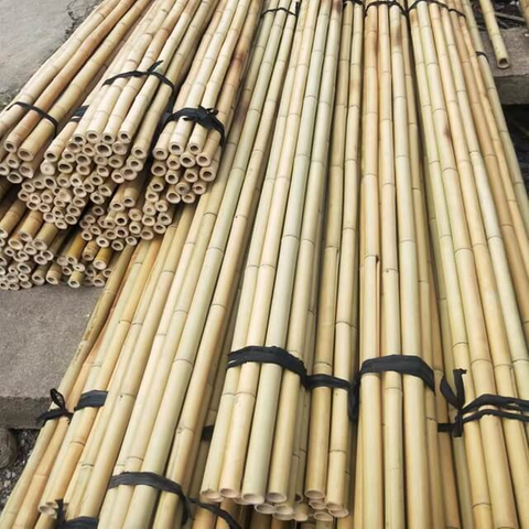 Natural Bamboo Poles for Decoration and Building