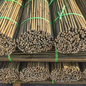 Bamboo Poles Bamboo Canes To Support Plants Grow