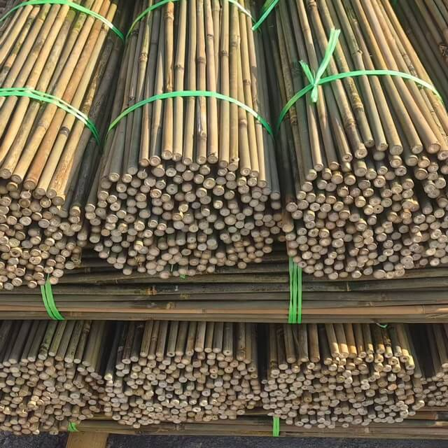Bamboo Poles Bamboo Canes To Support Plants Grow